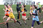 Junior girls 2019 New Balance English Schools Cross Country Champs, Temple Newsam, Leeds. Photo:  David T. Hewitson/Sports for All Pics